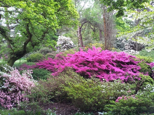 Photo by Fabio Ciccolella